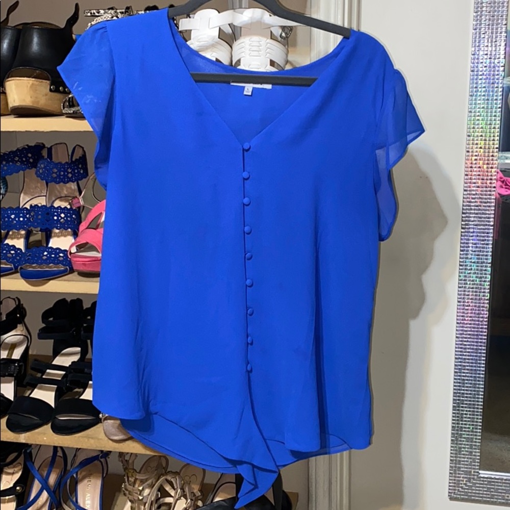 Cobalt blue Naked Zebra blouse